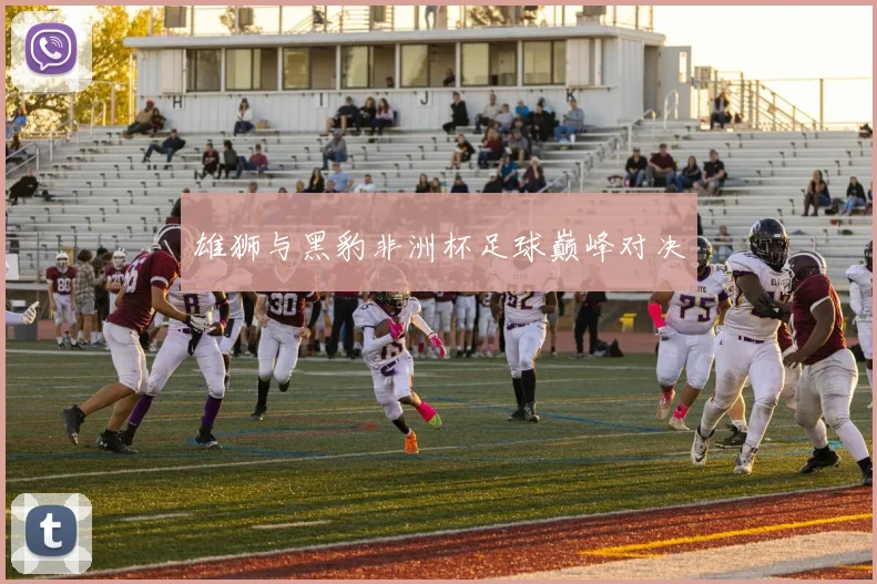 雄狮与黑豹非洲杯足球巅峰对决
