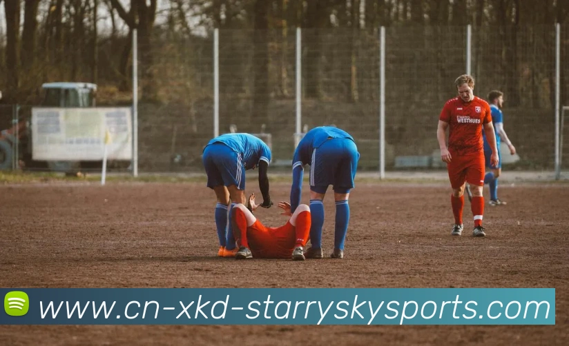 星空体育平台生态图